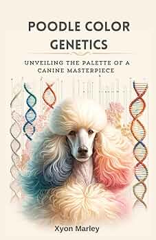 Poodle Color Genetics: Unveiling the Palette of a Canine